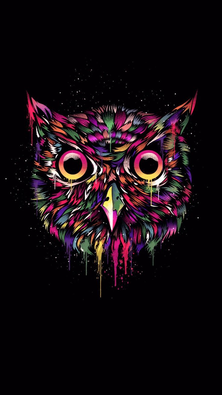 Owl Phone Wallpapers