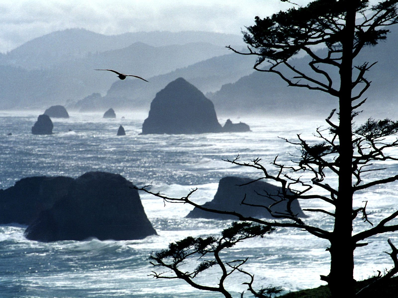 Pacific Northwest Coast Wallpapers