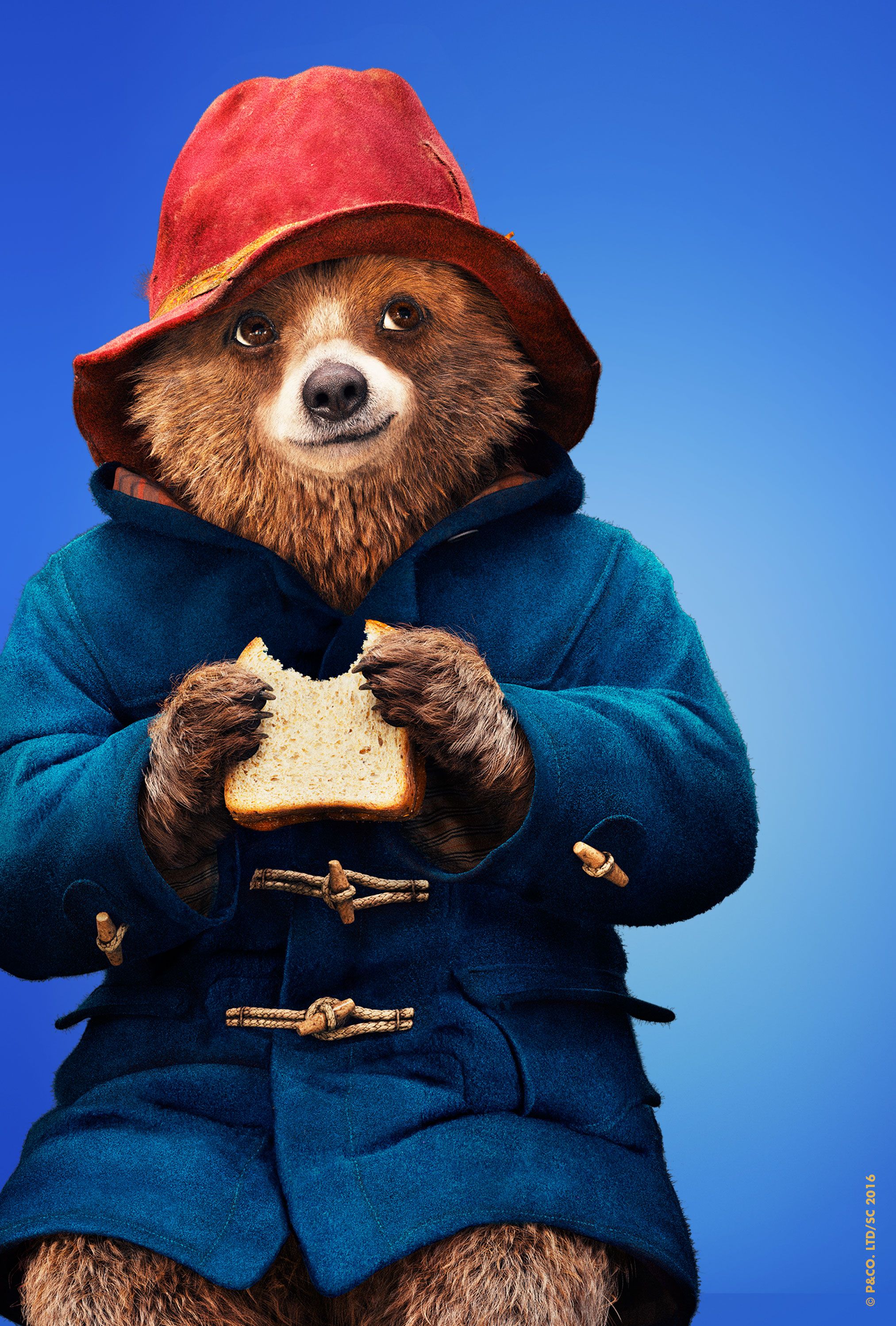 Paddington Bear Wallpapers