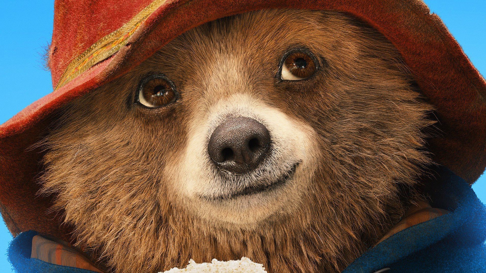 Paddington Bear Wallpapers