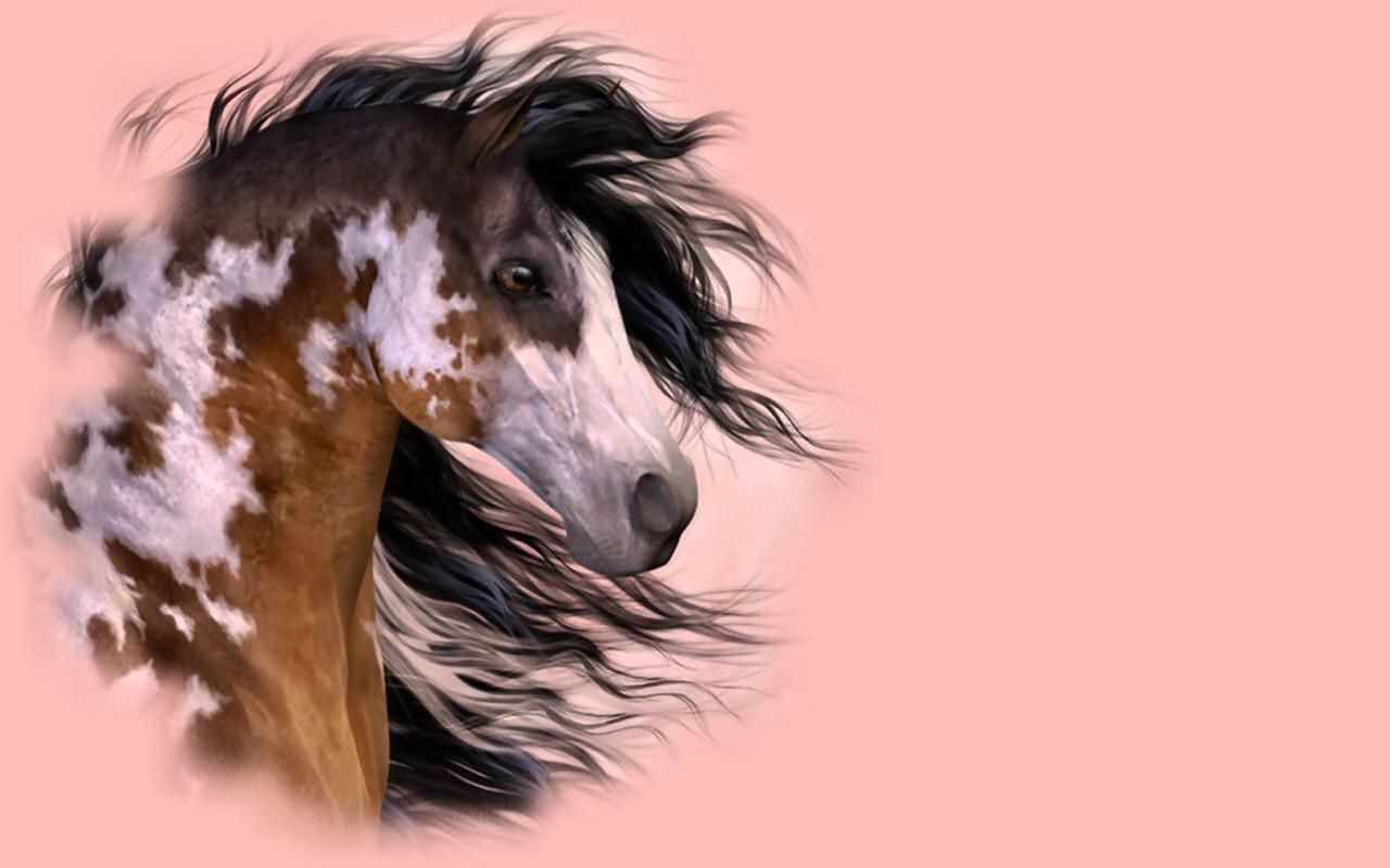 Paint Horse Wallpapers