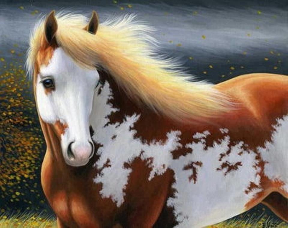 Paint Horse Wallpapers