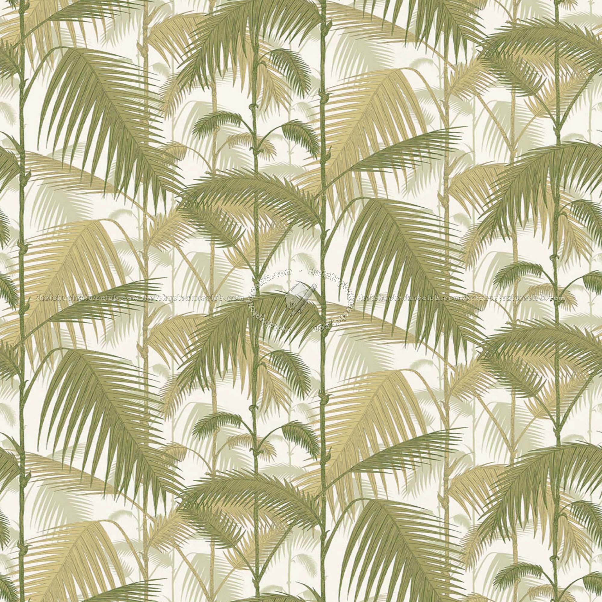 Palm Leaves Wallpapers