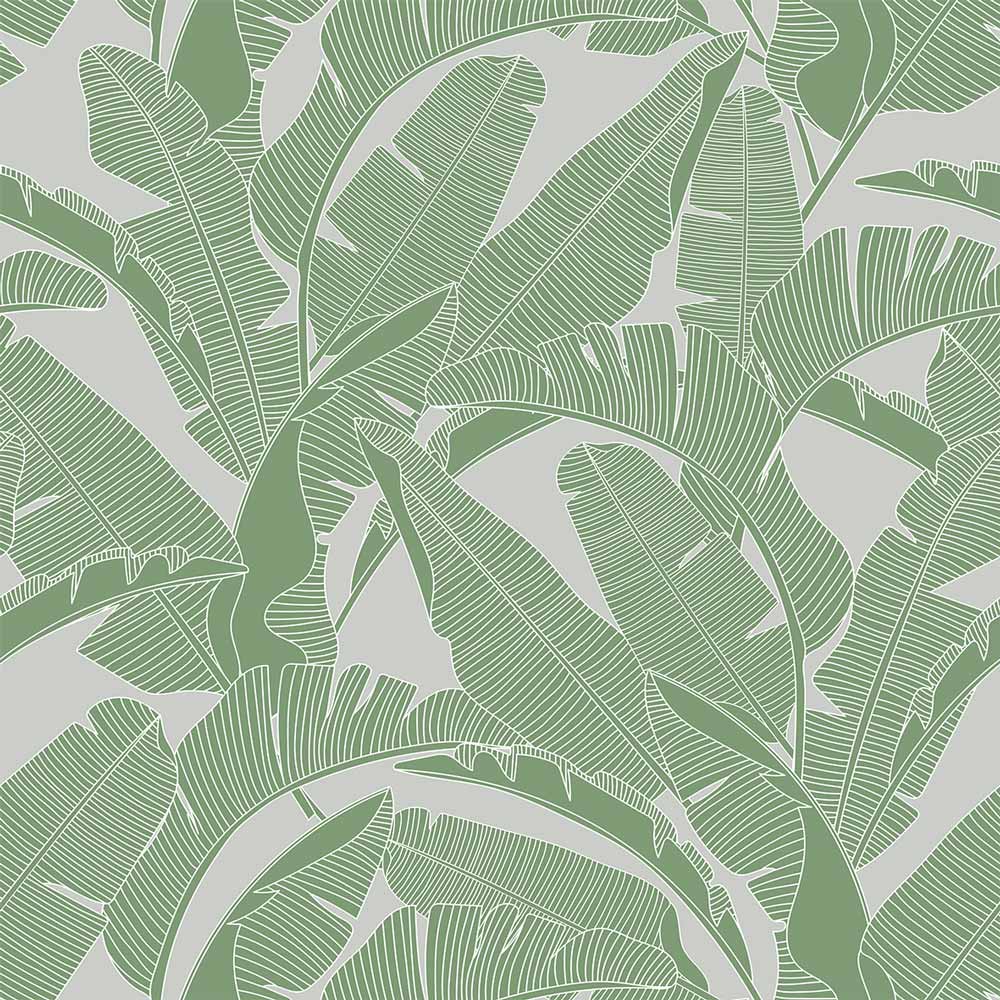 Palm Leaves Wallpapers