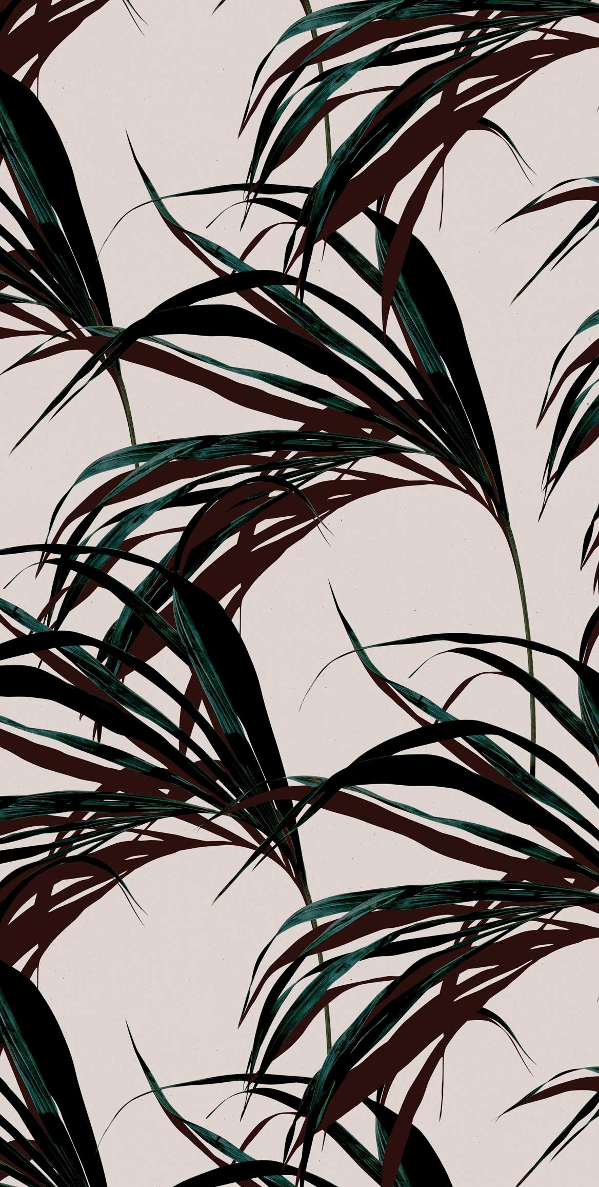 Palm Leaves Wallpapers