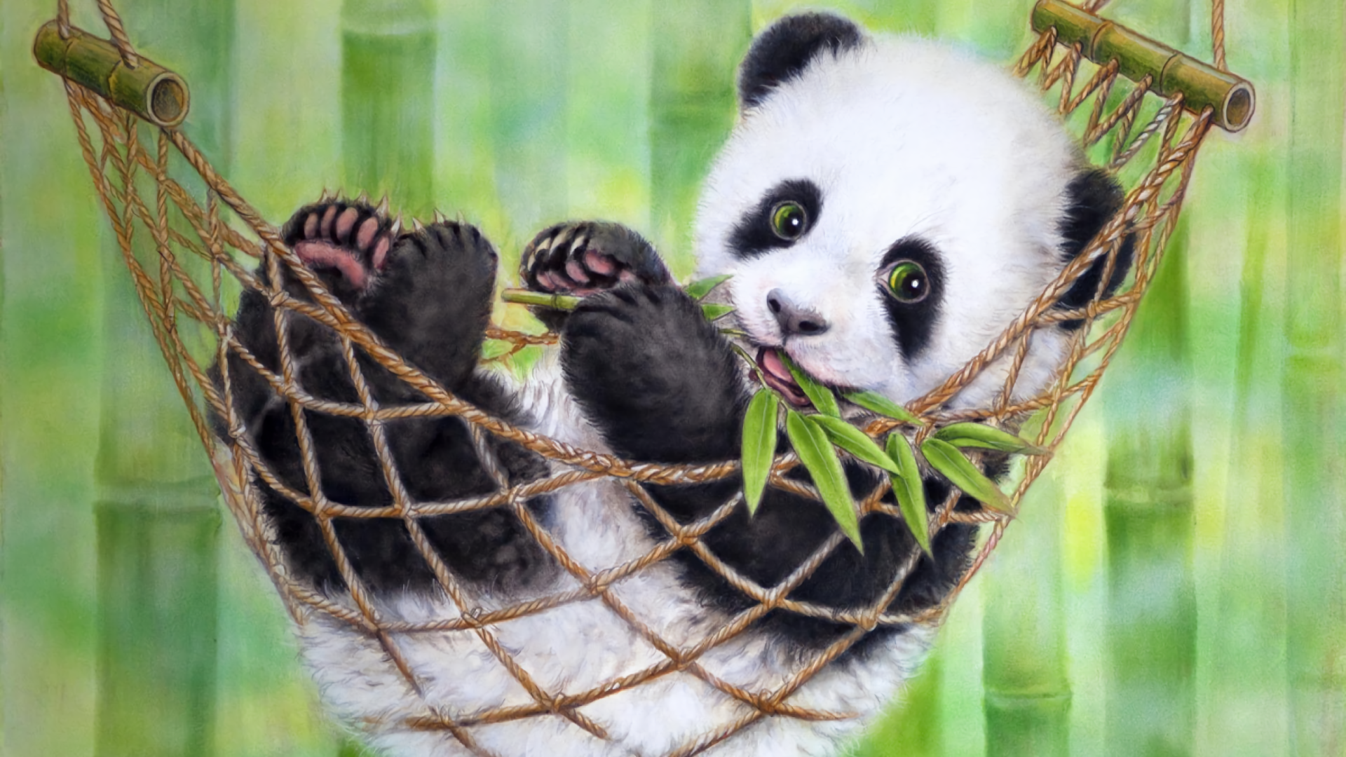 Panda Hd Wallpapers