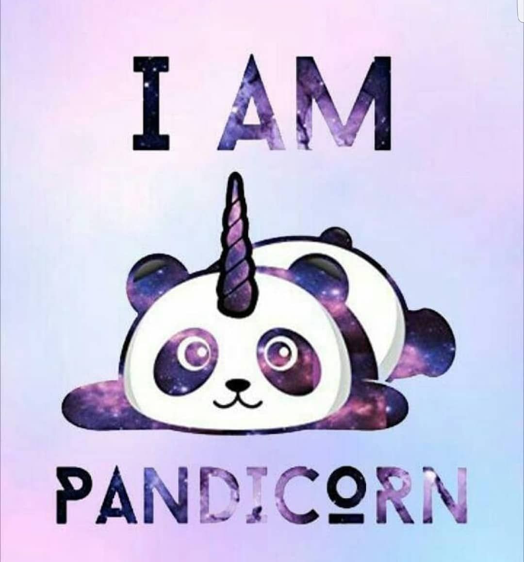 Pandacorn Wallpapers