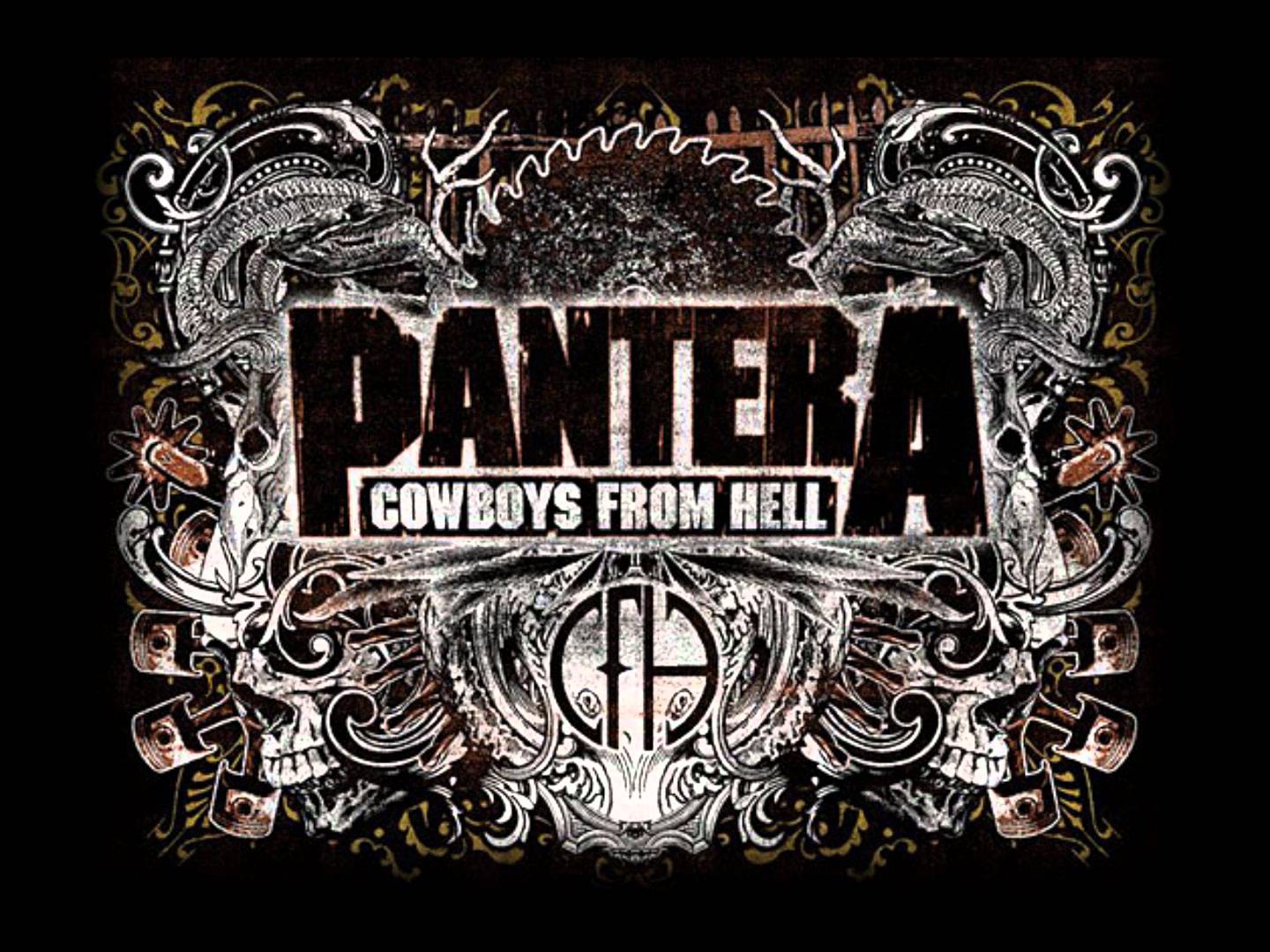 Pantera Wall Paper Wallpapers