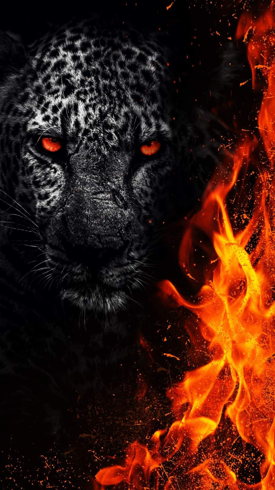 Panther Iphone Wallpapers