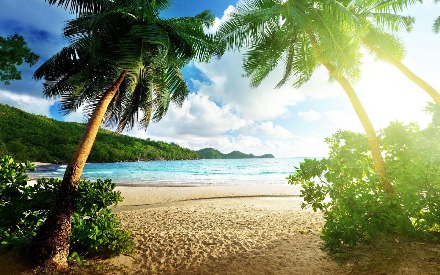 Paradise Hd Wallpapers