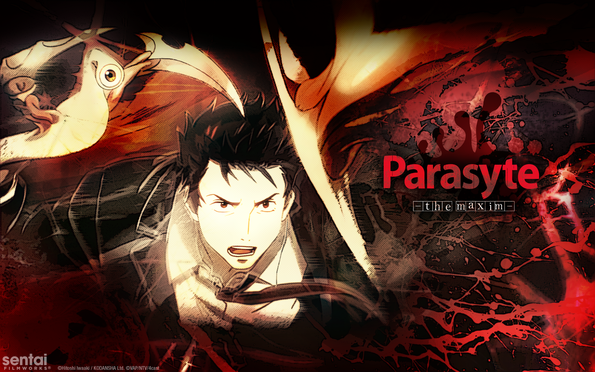 Parasyte Anime Wallpapers
