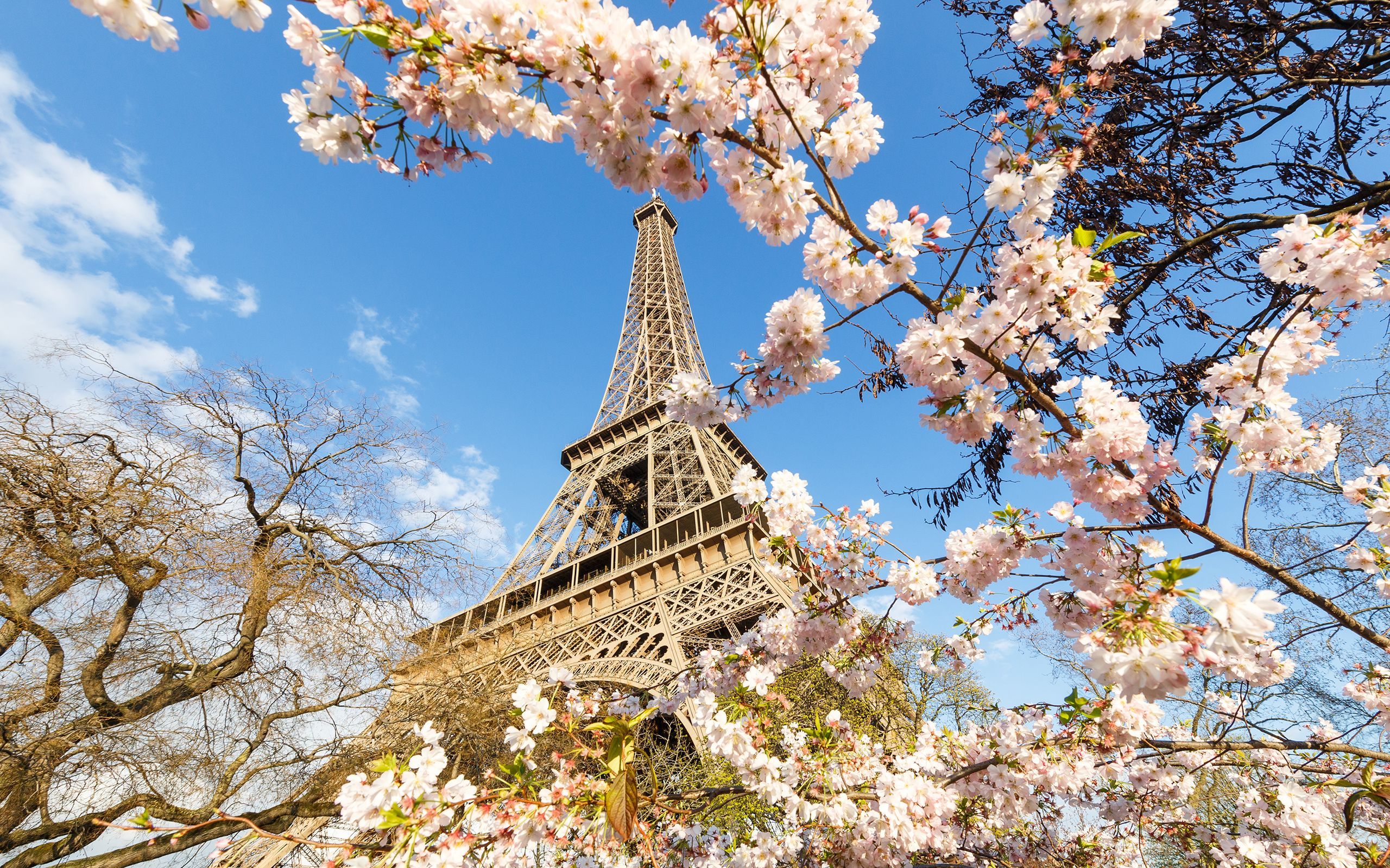 Paris Spring Wallpapers