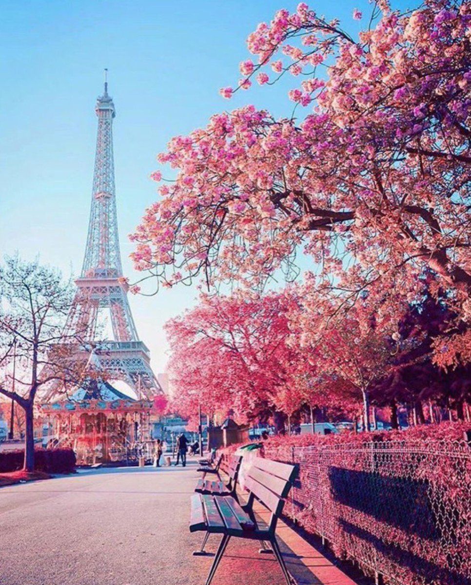 Paris Spring Wallpapers