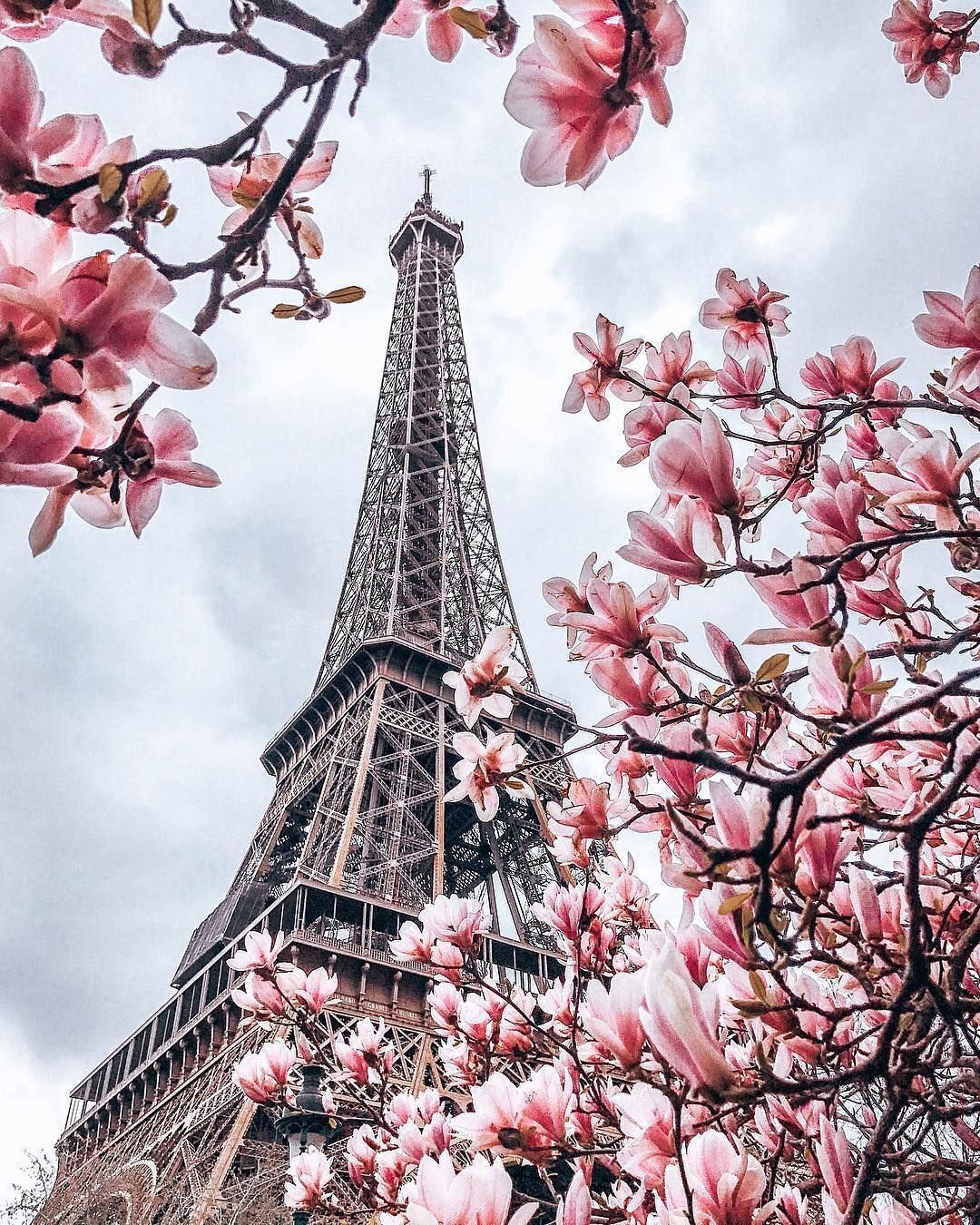 Paris Spring Wallpapers