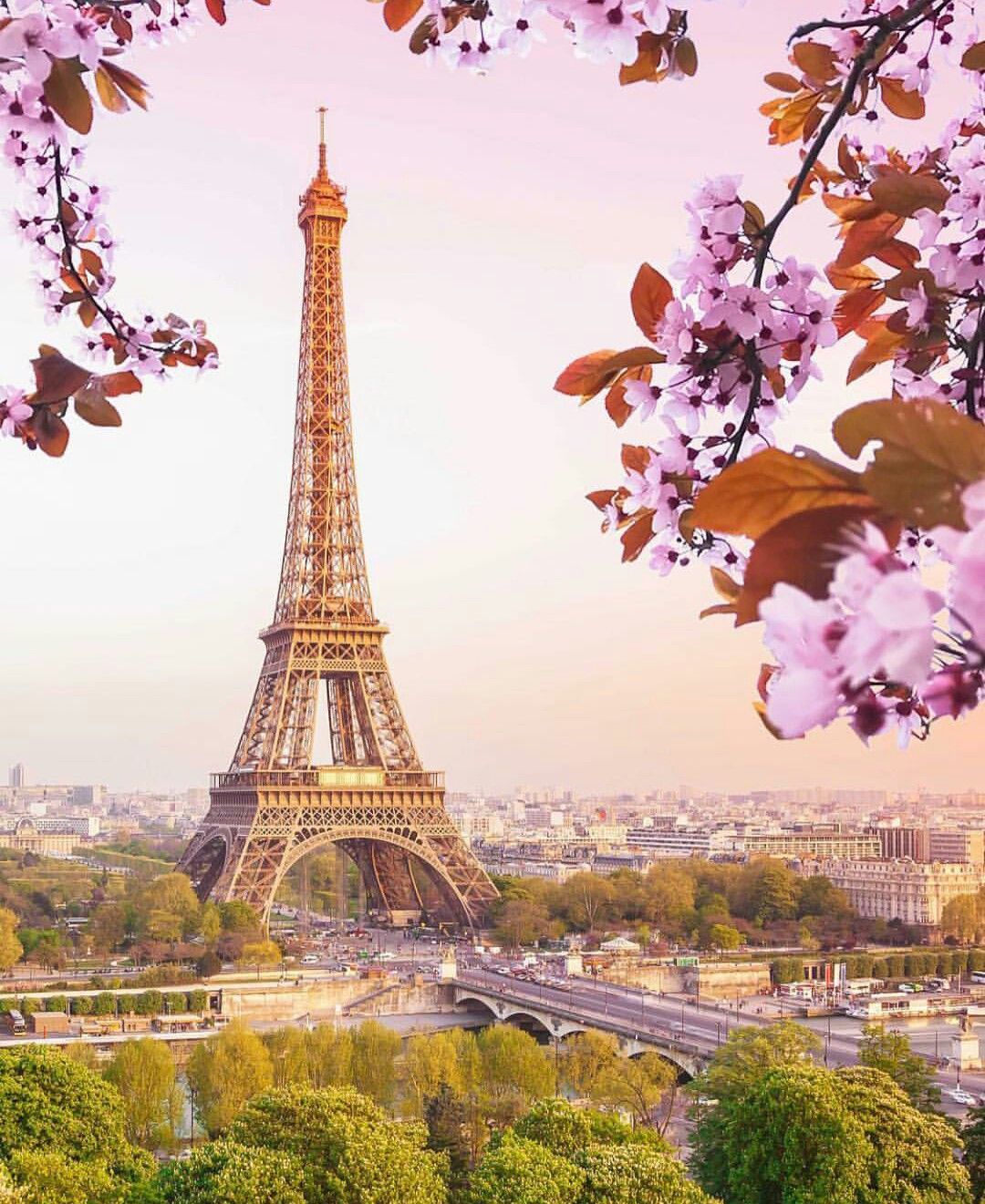 Paris Spring Wallpapers