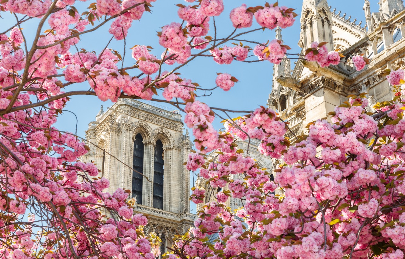 Paris Spring Wallpapers