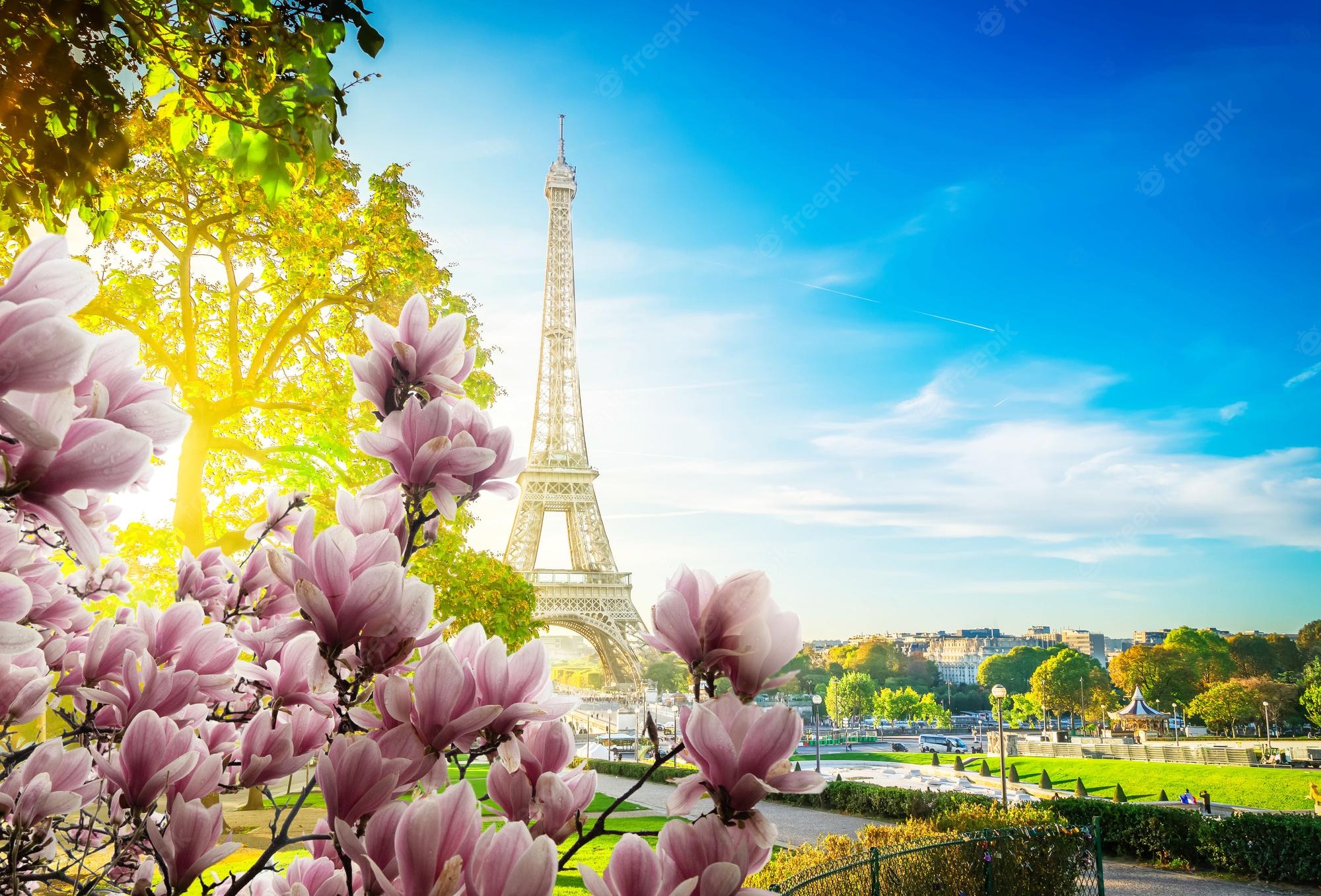 Paris Spring Wallpapers