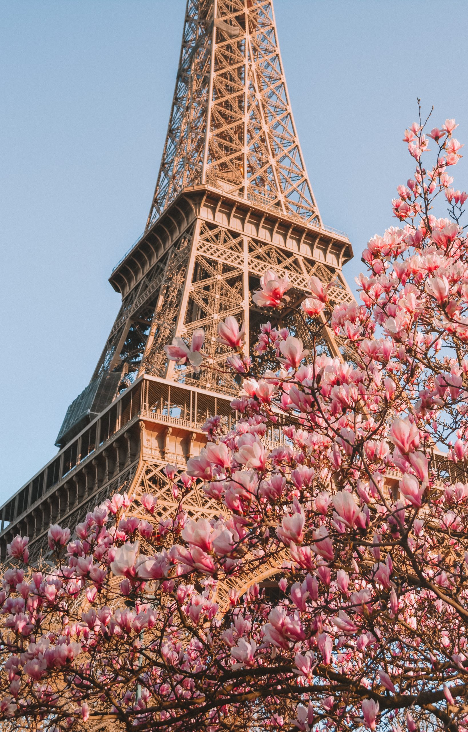 Paris Spring Wallpapers