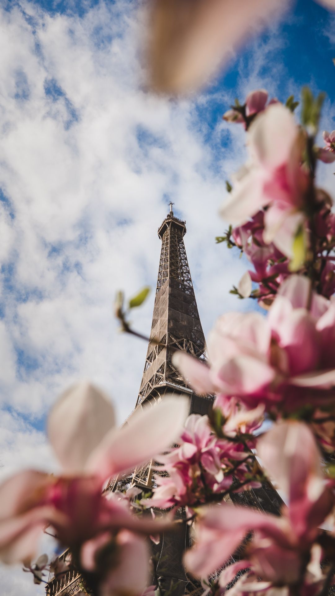 Paris Spring Wallpapers