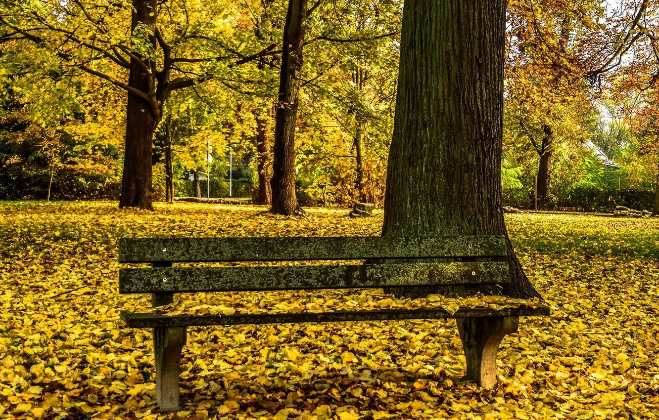 Park Bench Wallpapers