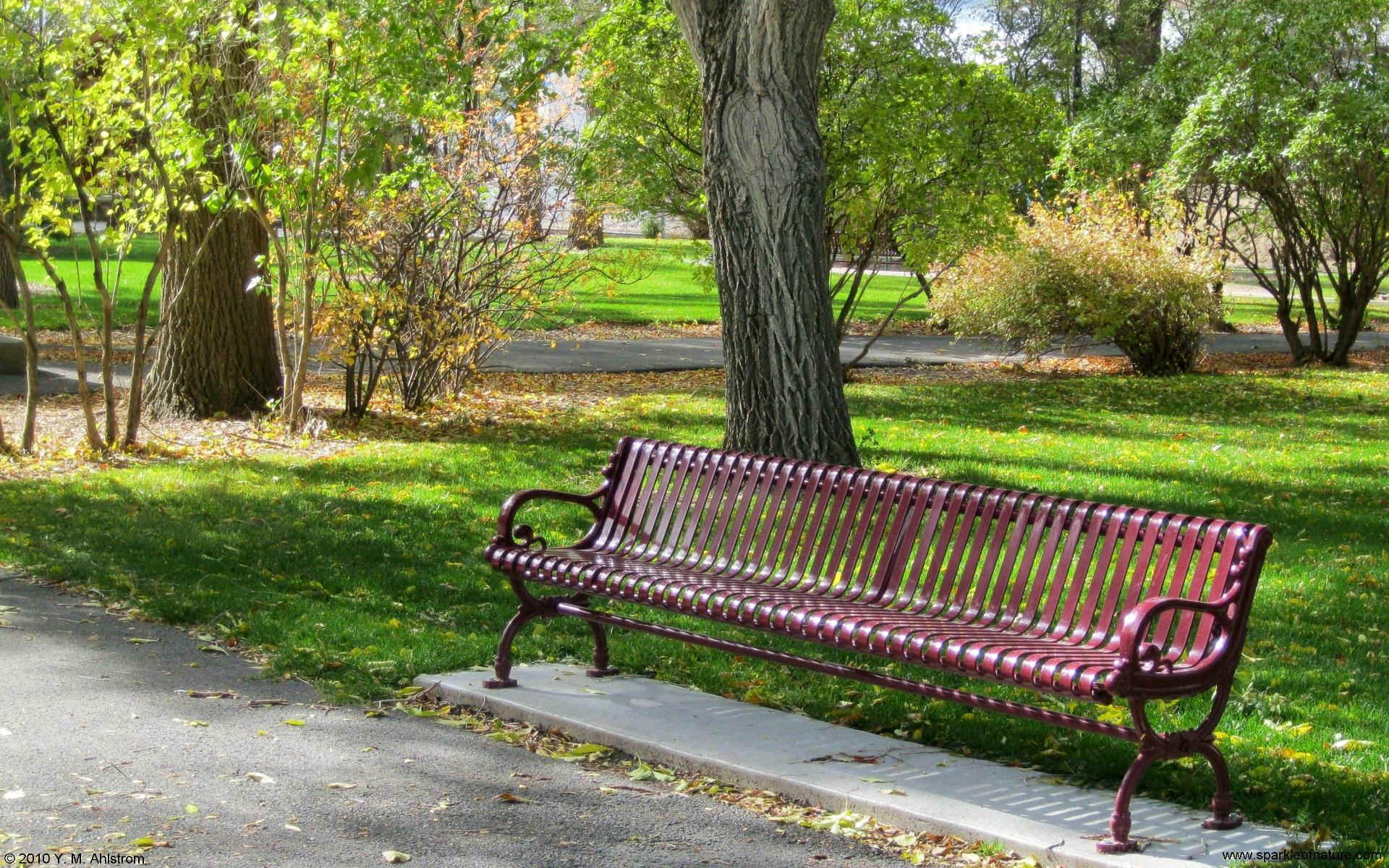 Park Bench Wallpapers