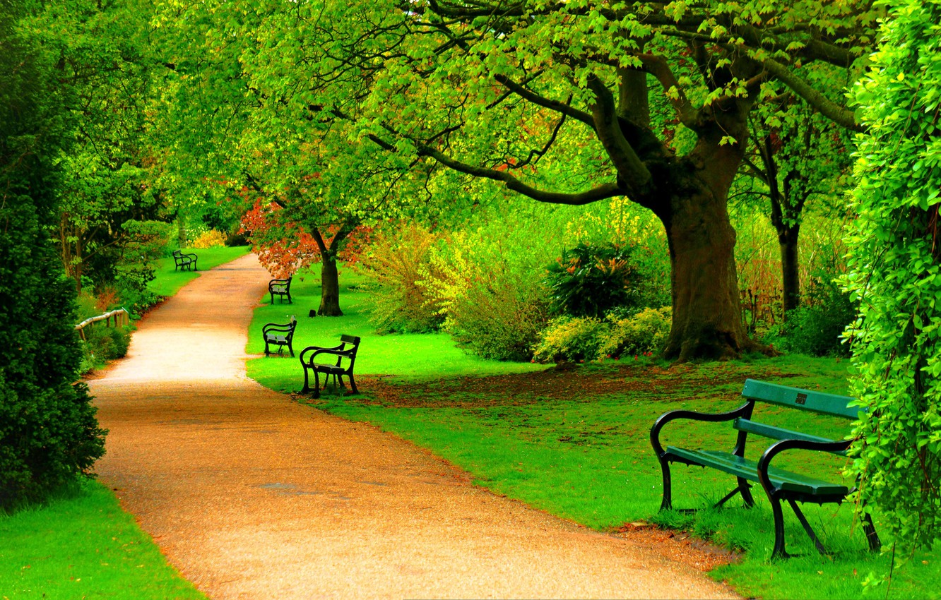 Park In Spring Wallpapers