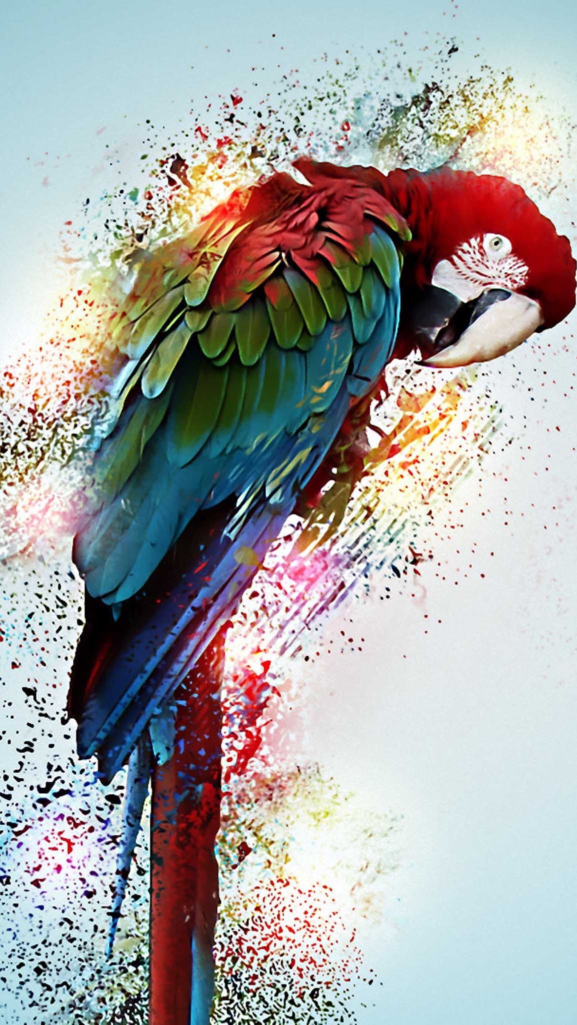 Parrot Artist Wallpapers