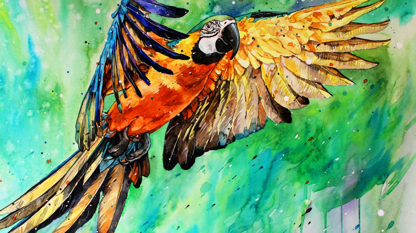 Parrot Artist Wallpapers