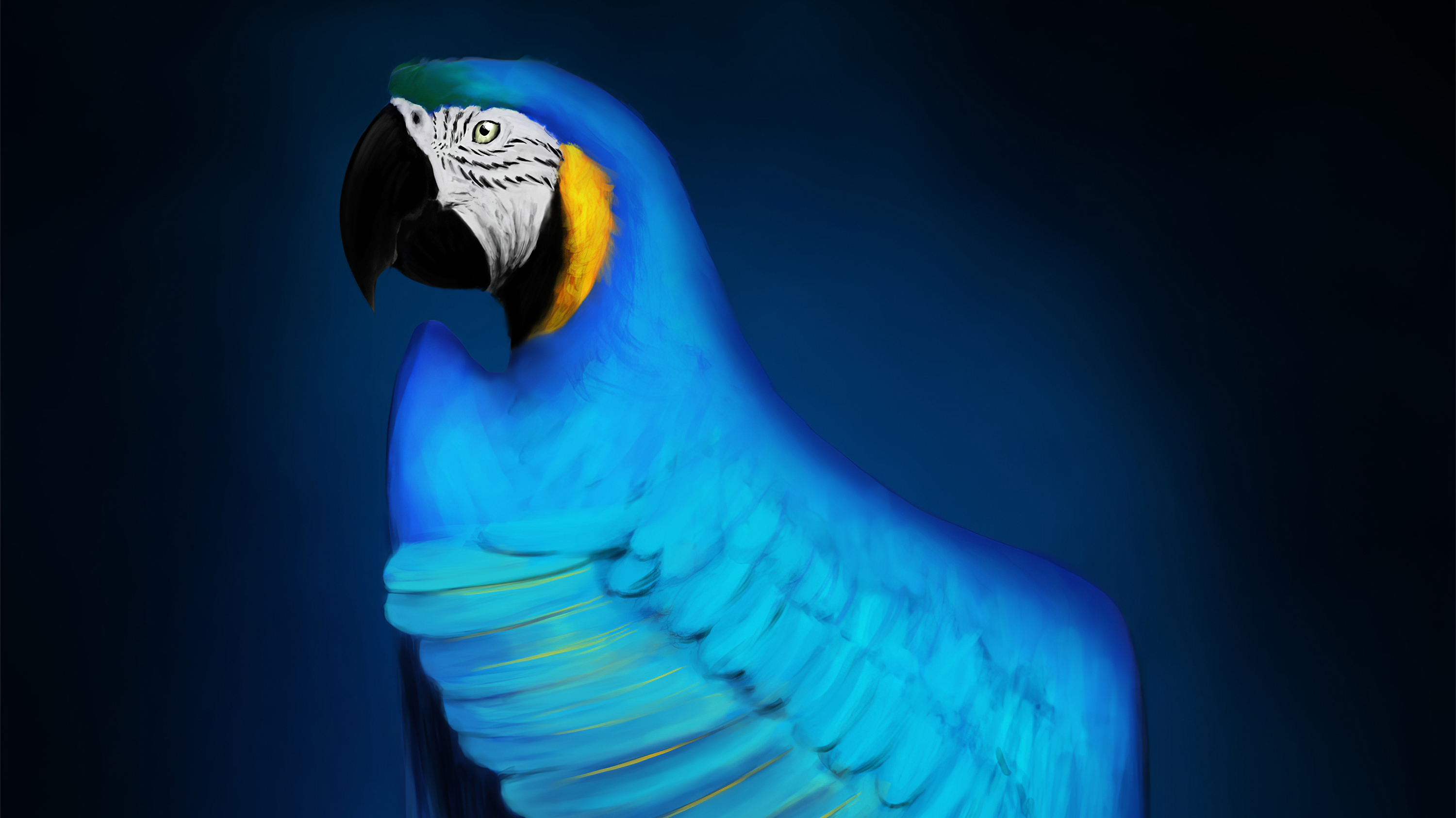 Parrot Artist Wallpapers