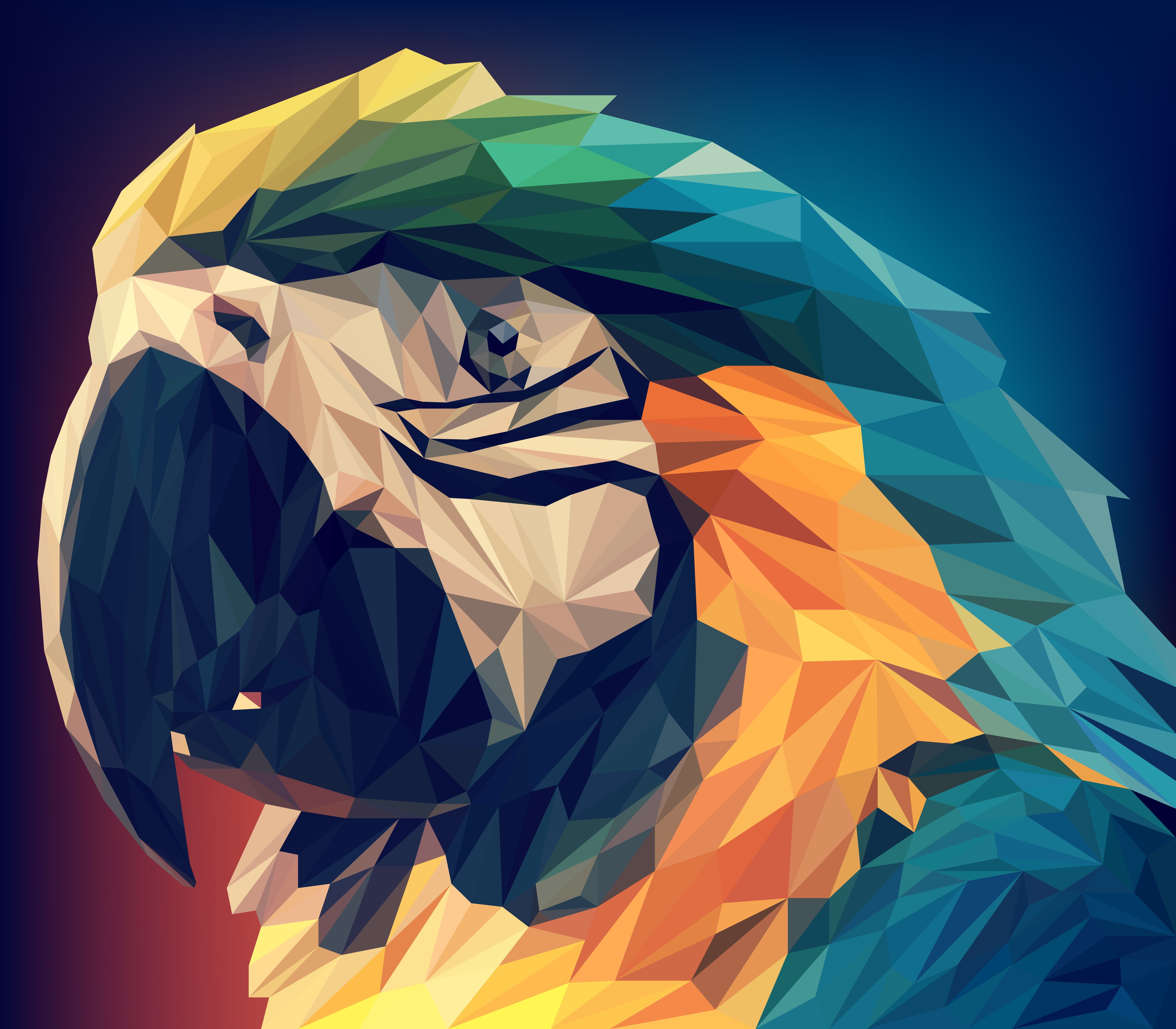 Parrot Artist Wallpapers