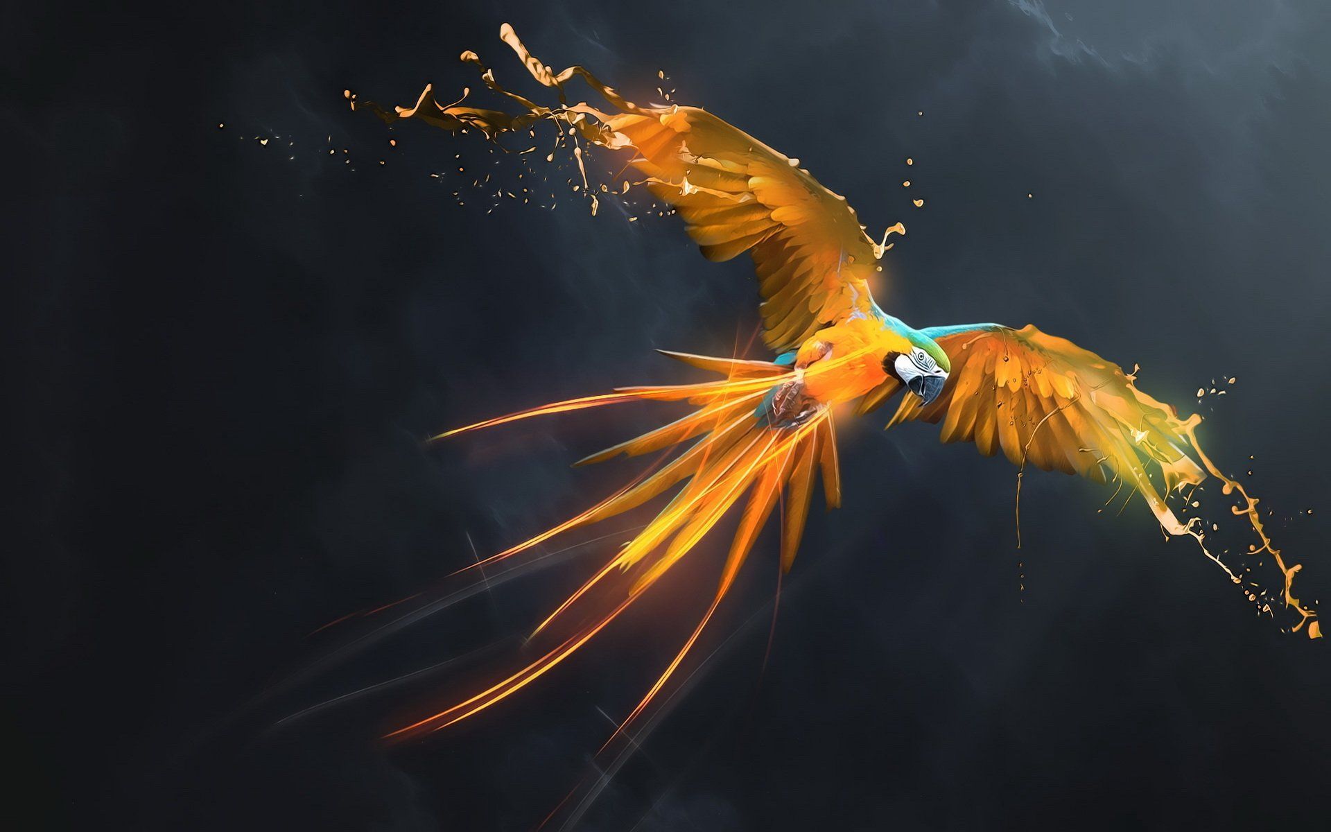 Parrot Os Wallpapers