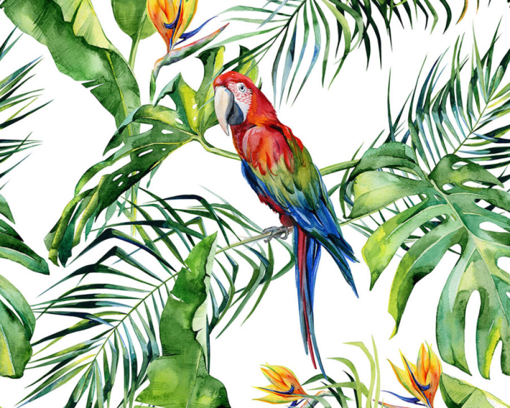 Parrots Wallpapers