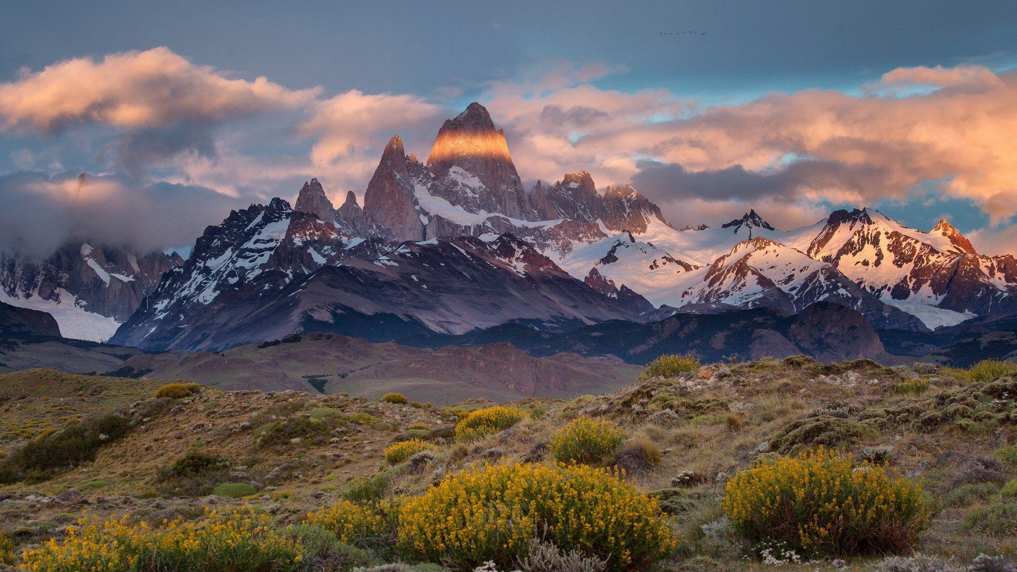 Patagonia Logo Wallpapers