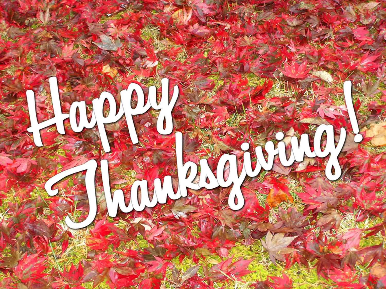 Patriotic Happy Thanksgiving Images Wallpapers