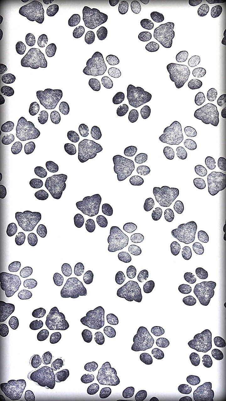 Paw Print For Iphone Wallpapers