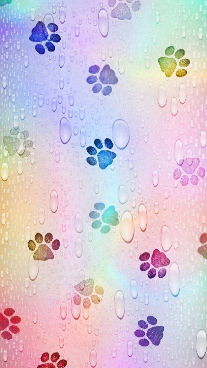 Paw Print For Iphone Wallpapers