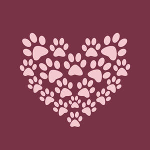 Paw Print For Iphone Wallpapers