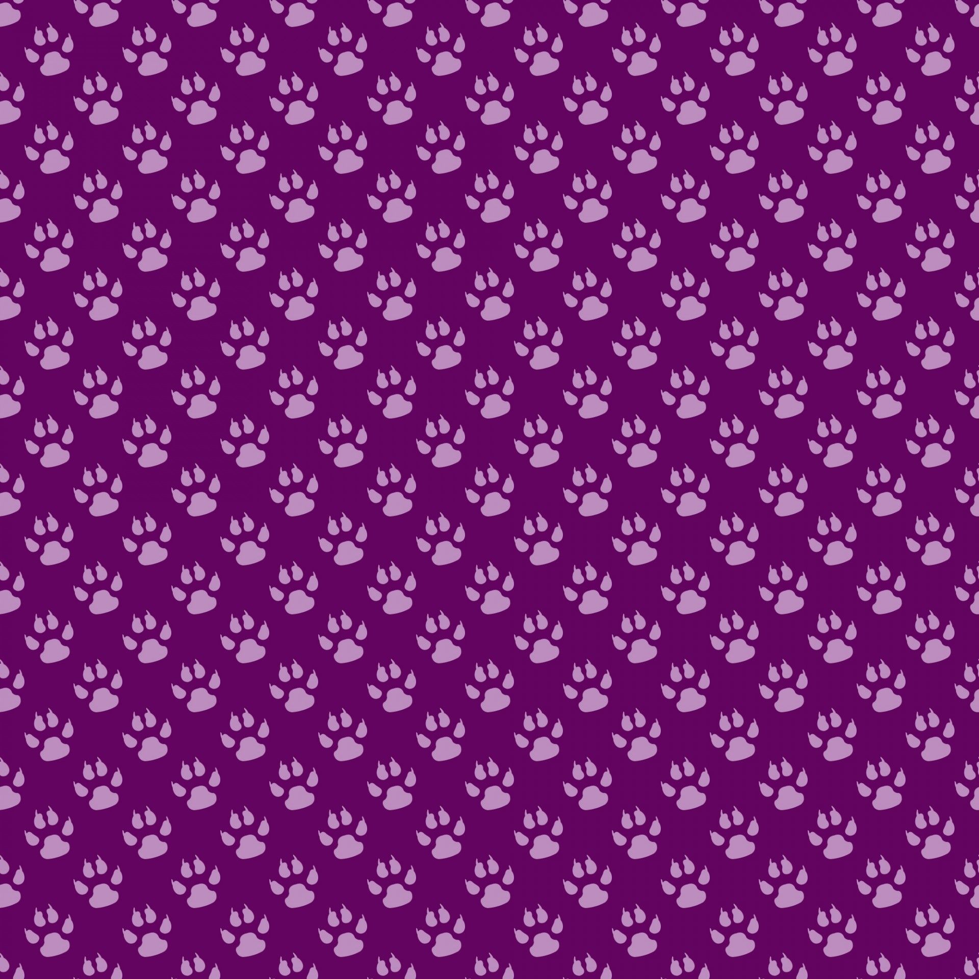 Paw Print For Iphone Wallpapers