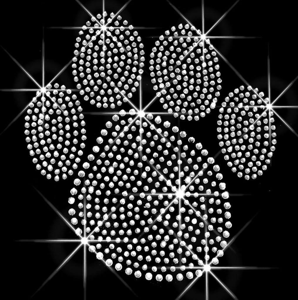 Paw Print For Iphone Wallpapers