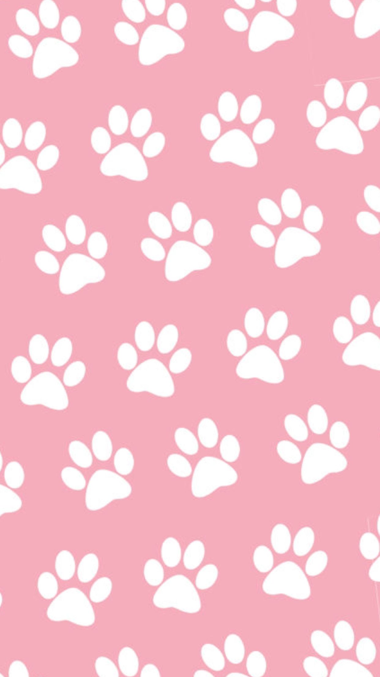 Paw Print For Iphone Wallpapers