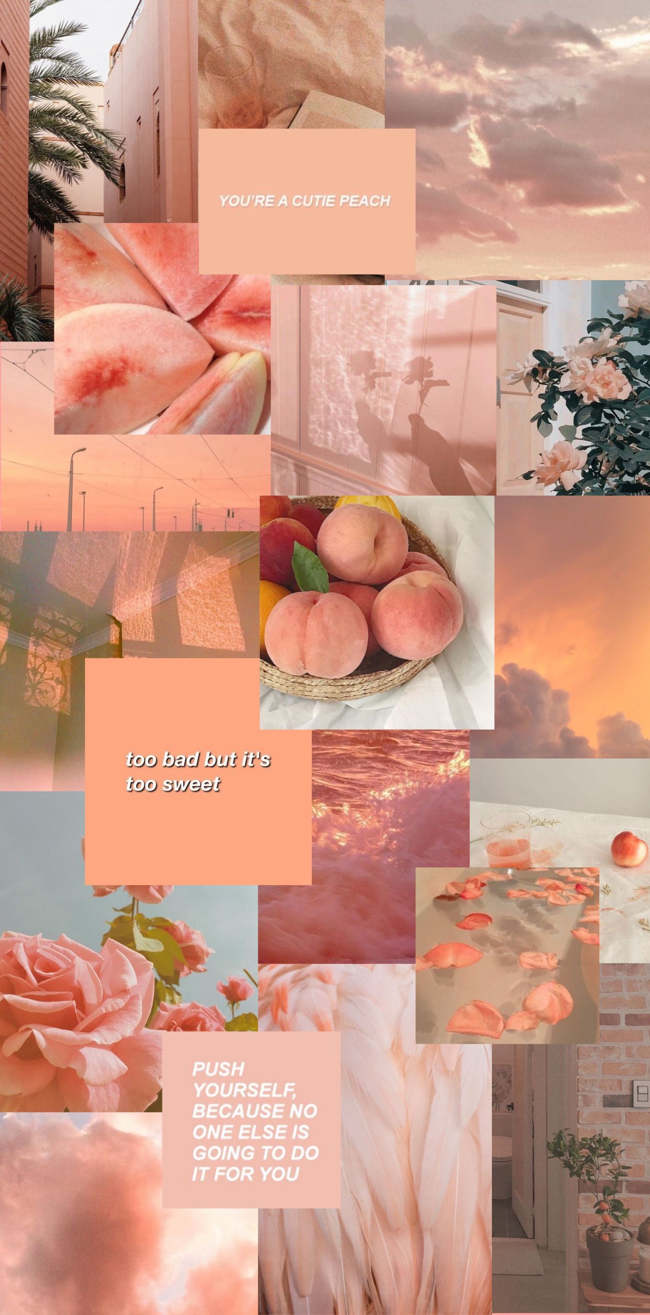 Peach Aesthetic Wallpapers