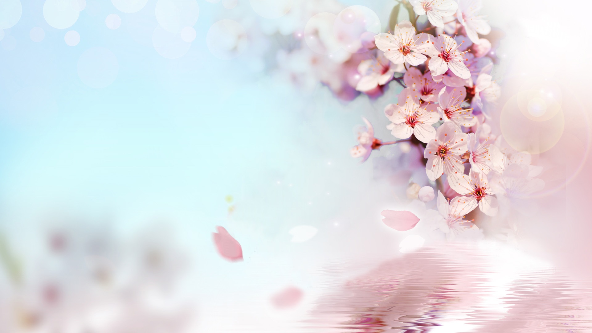 Peach Flowers Wallpapers