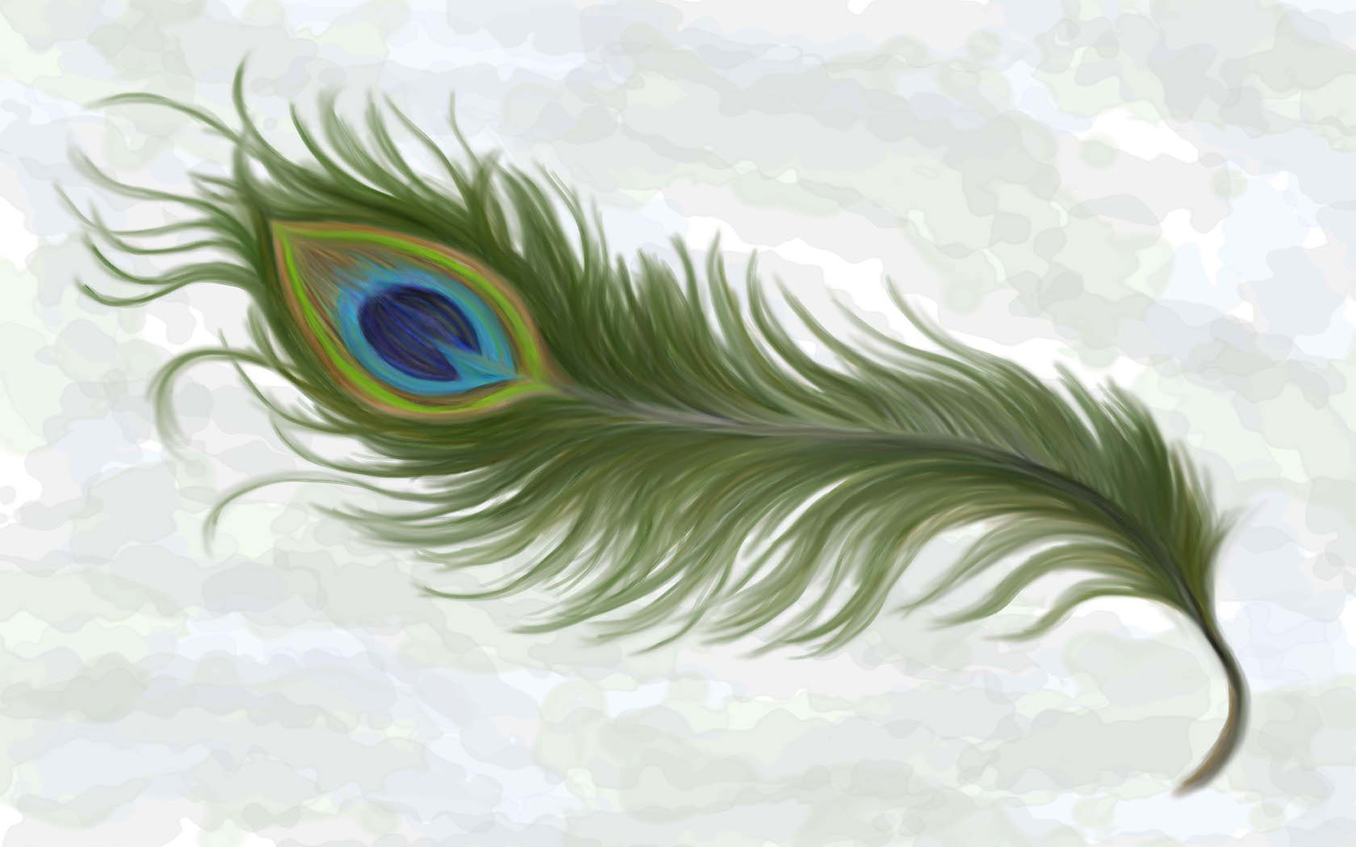 Peacock Feather Wallpapers