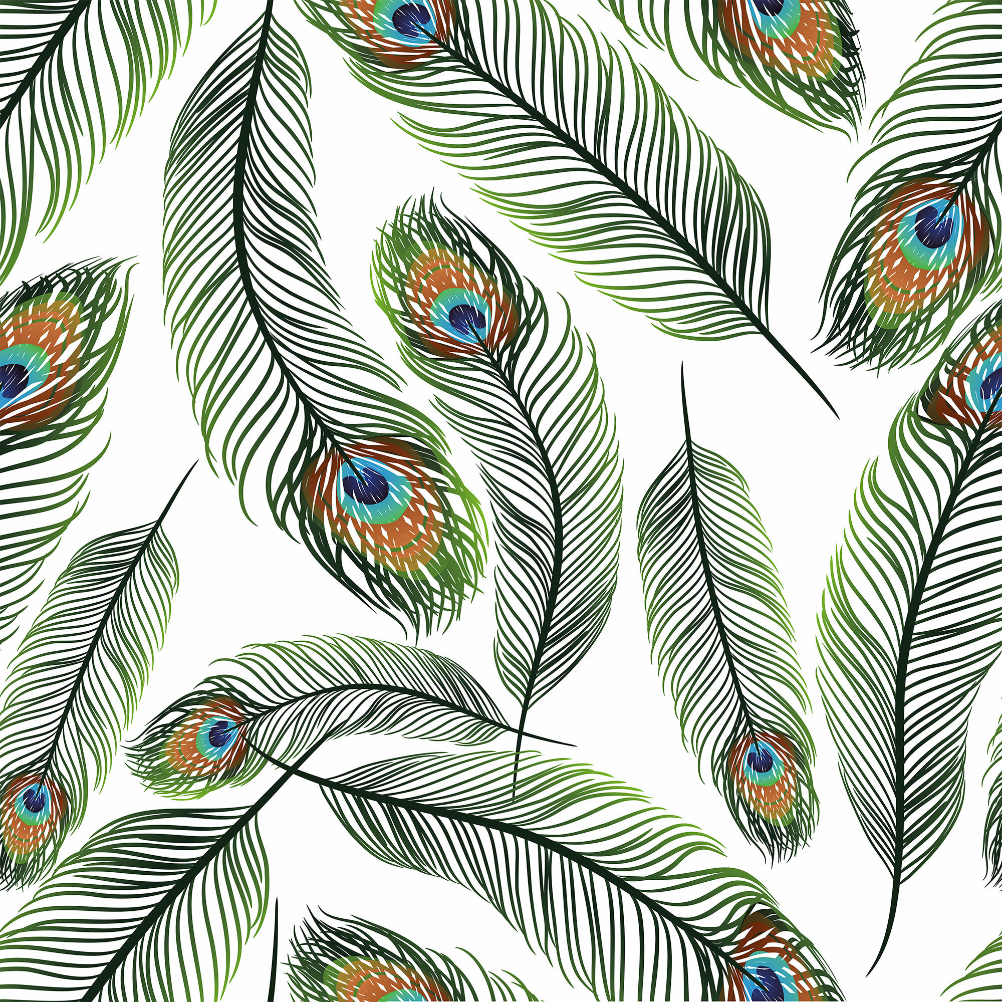 Peacock Feather Wallpapers