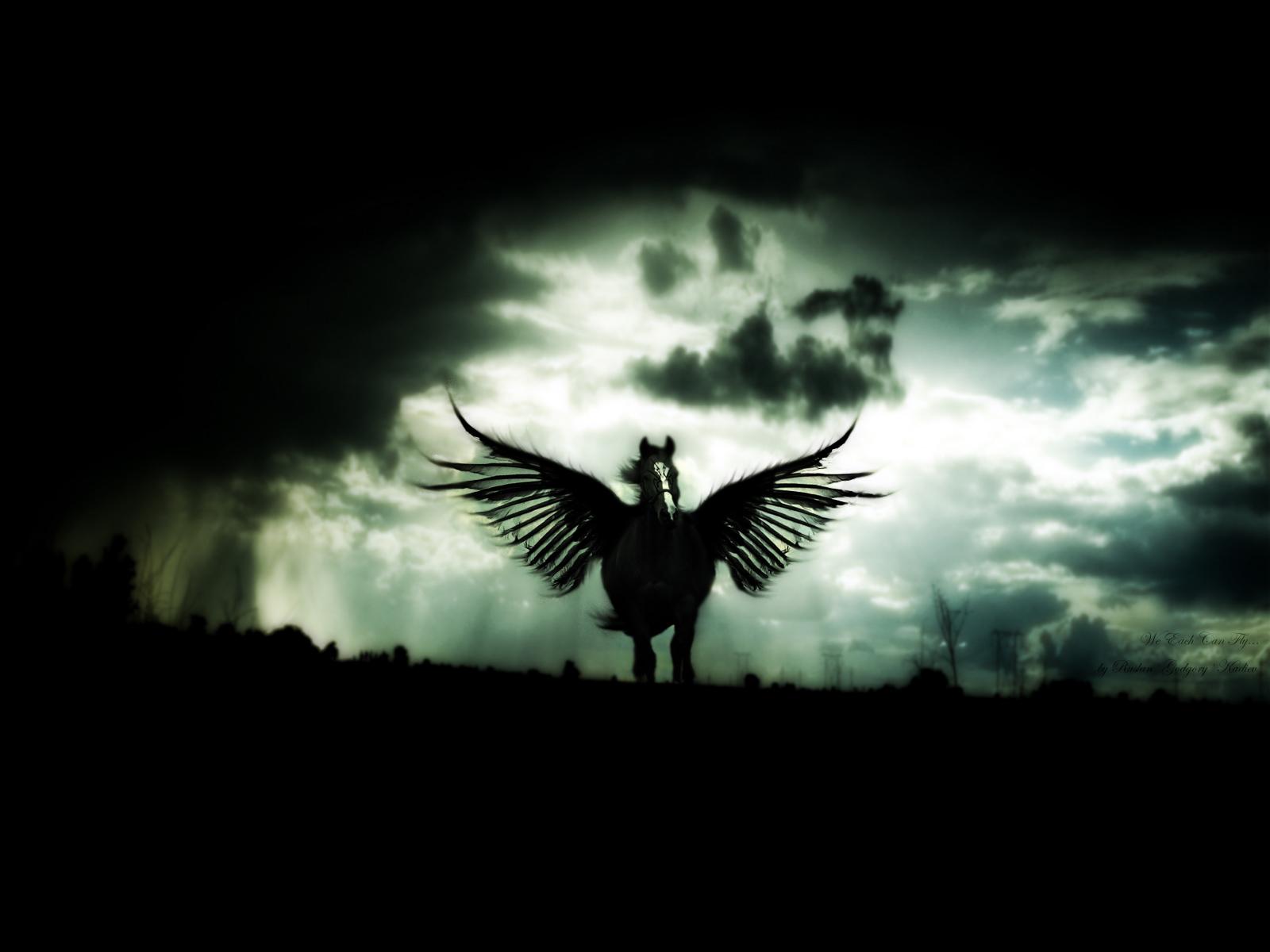 Pegasus Black Wallpapers