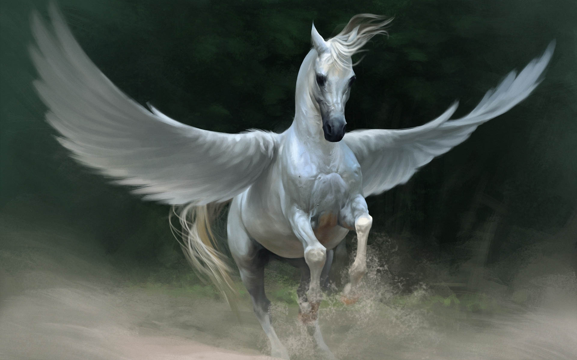 Pegasus Black Wallpapers