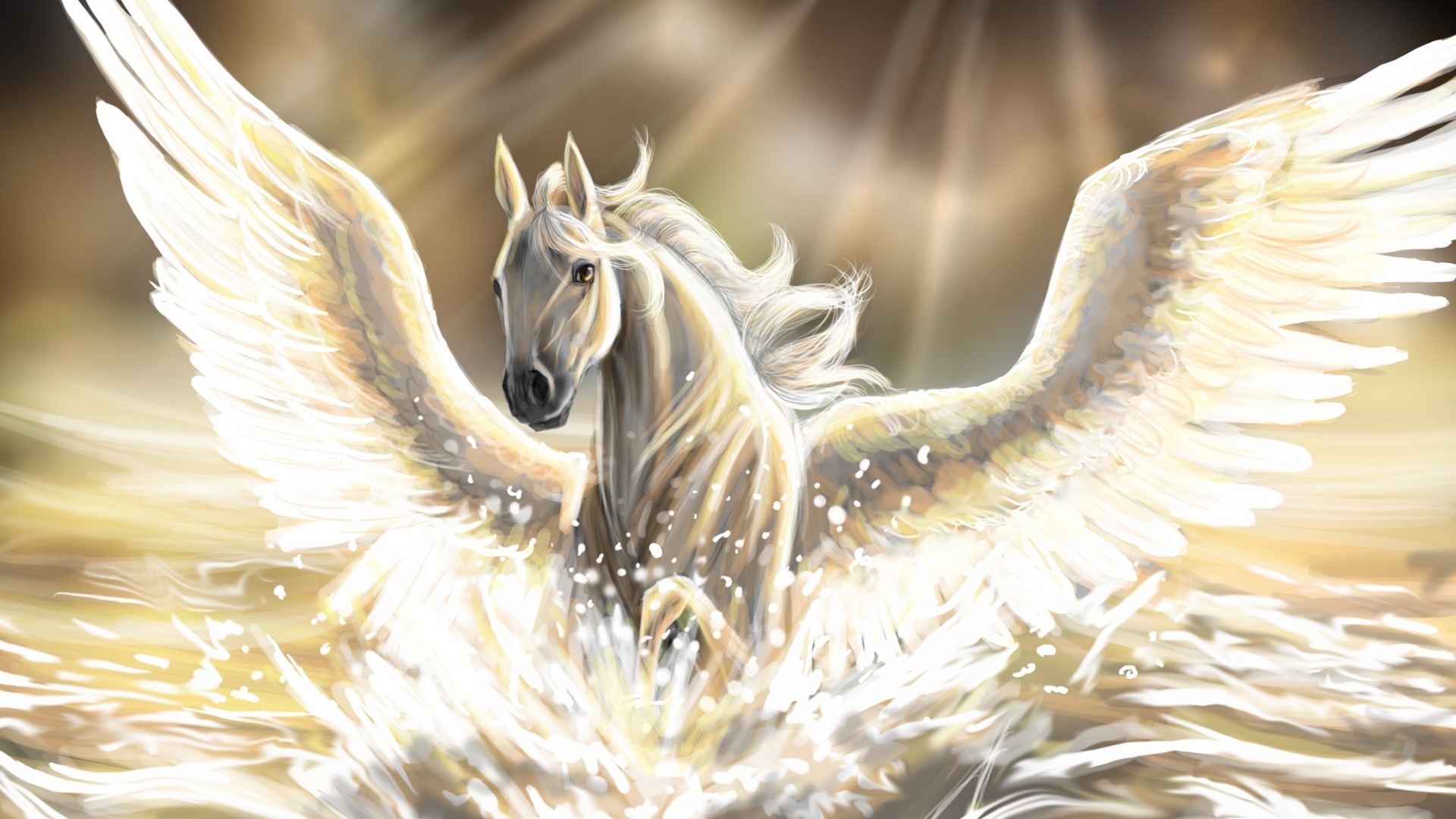 Pegasus Black Wallpapers