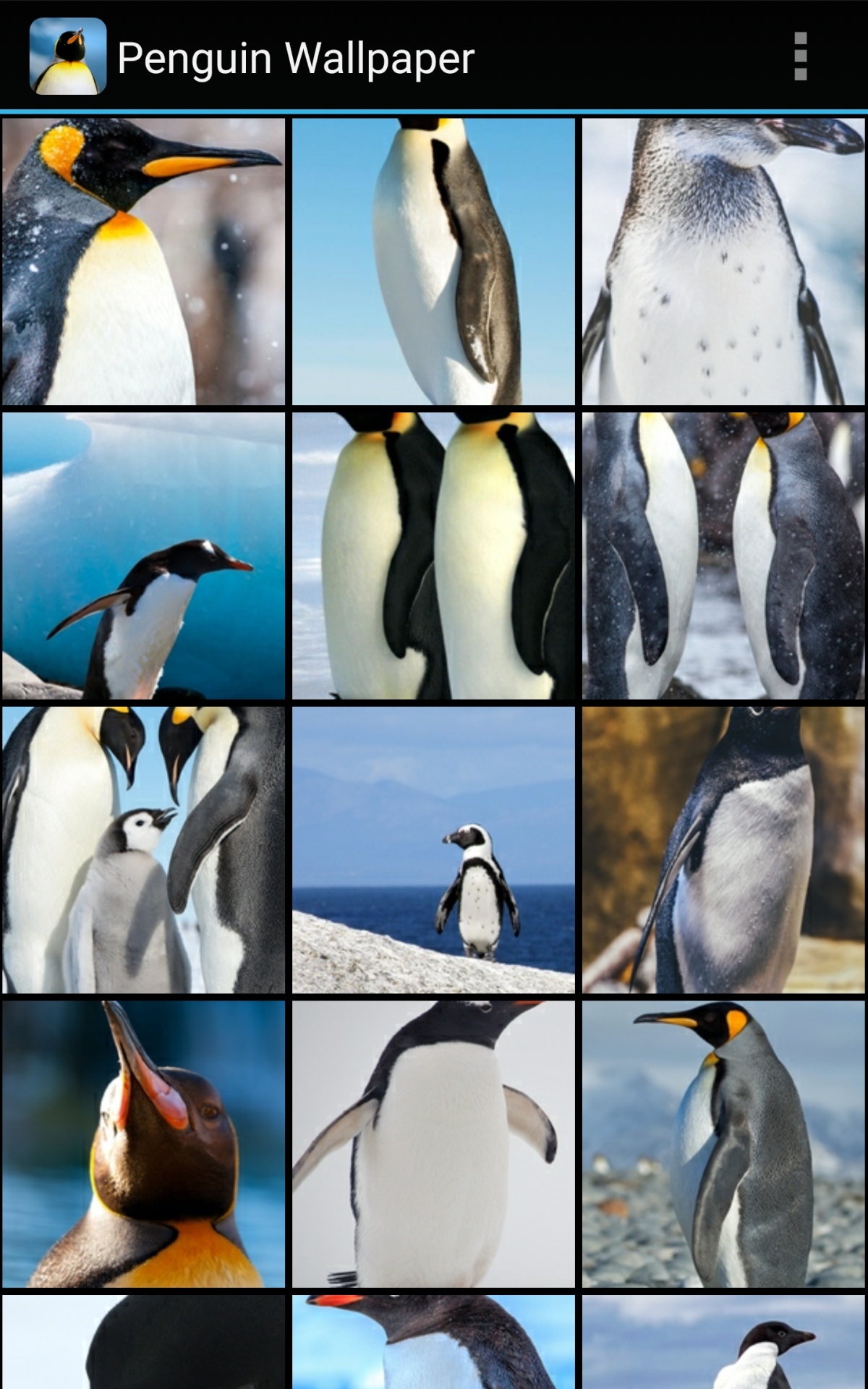 Penguin Phone Wallpapers