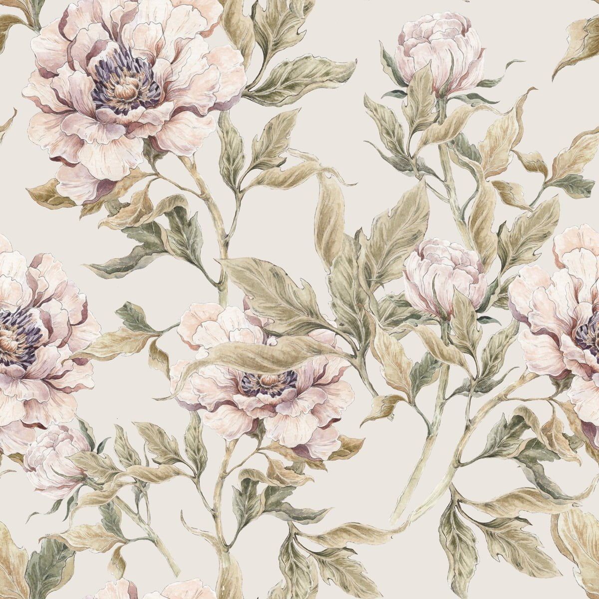 Peonies Wallpapers