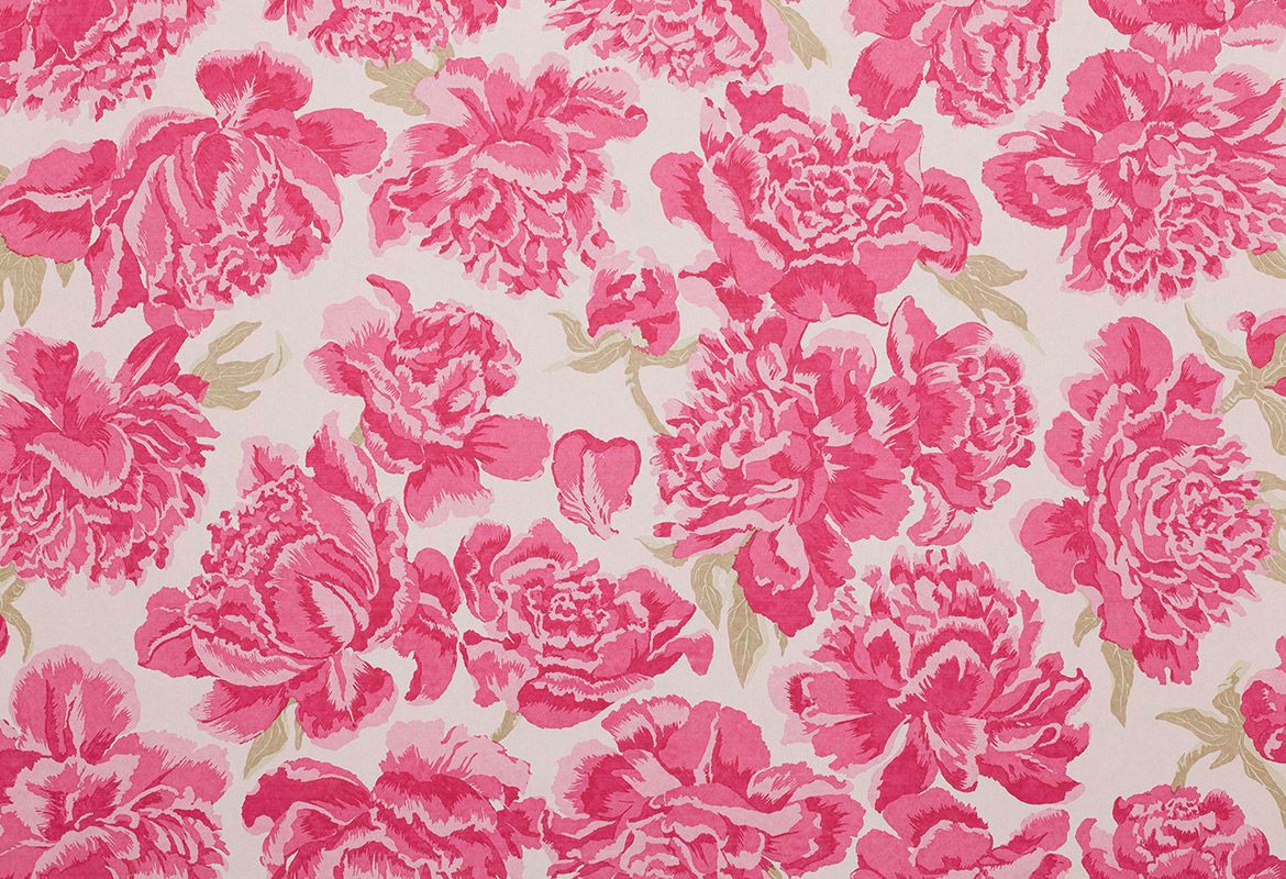 Peonies Wallpapers